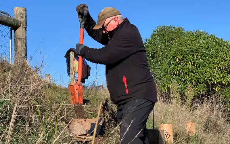 Aotea Electric Tree Planting Day - Digging