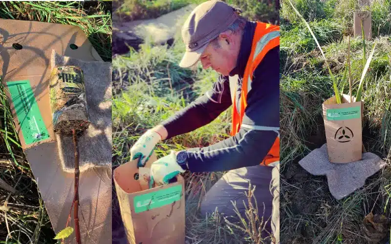 Aotea Electric Tree Planting Montage