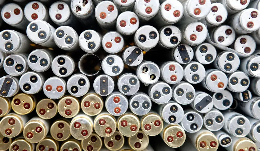 Environmental Impact of Aotea Electric
